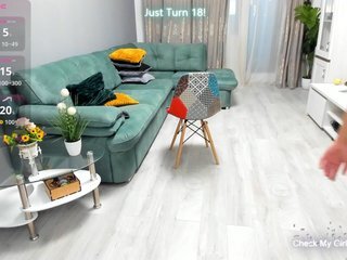 צ'אט וידאו ארוטי 18teengirl2