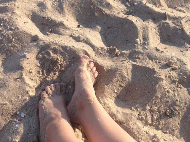 תמונה של הפרופיל aarizona