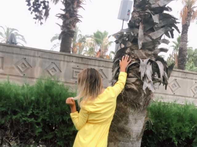 תמונה של הפרופיל AAVARIYA