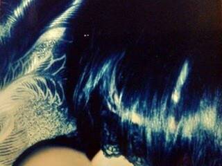 צ'אט וידאו ארוטי AlexaCool