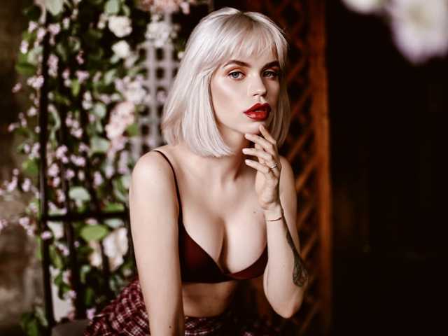 תמונה של הפרופיל AmberNew