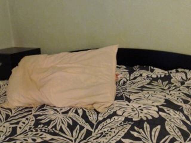 צילומי מסך משודרים Alissia_Kiss