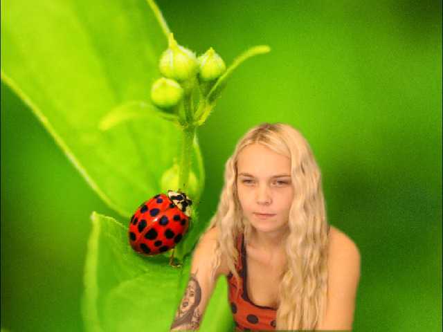 תמונות AnnaHappy18 ...the story of the lonely ladybug.