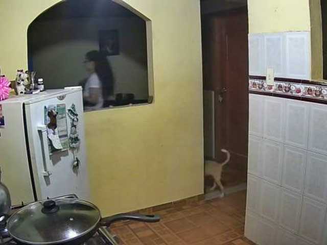 צילומי מסך משודרים anyqueen