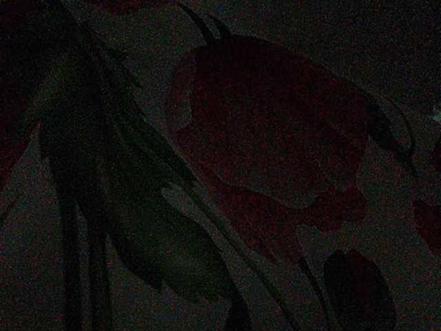 צילומי מסך משודרים Rosalia_____