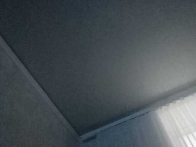 צילומי מסך משודרים b1ToorBoPussy