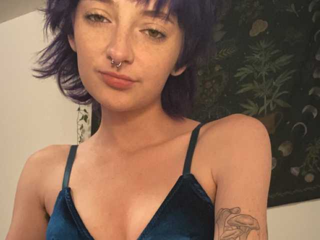 תמונה של הפרופיל bellamay03