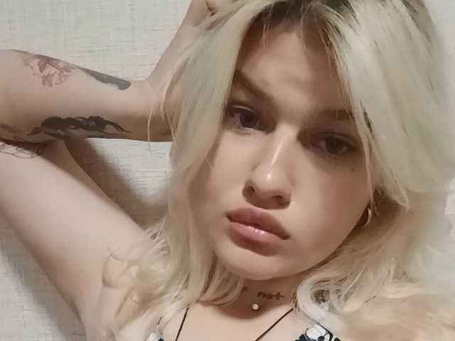 תמונה של הפרופיל Bellkins