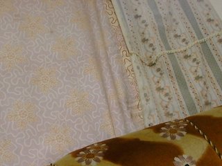 צ'אט וידאו ארוטי Lunaeva