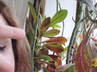 צ'אט וידאו ארוטי Crazycouple8