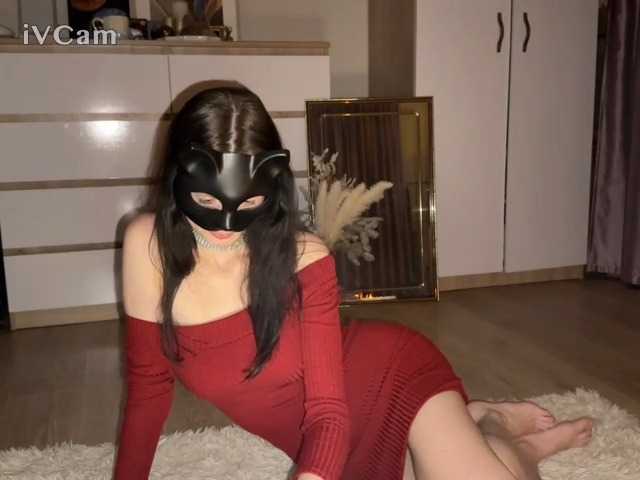 צילומי מסך משודרים CuteCats