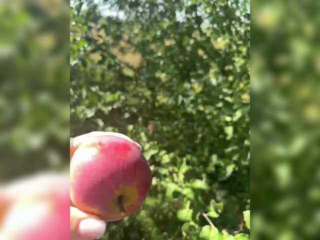 צילומי מסך משודרים SSaibaliii