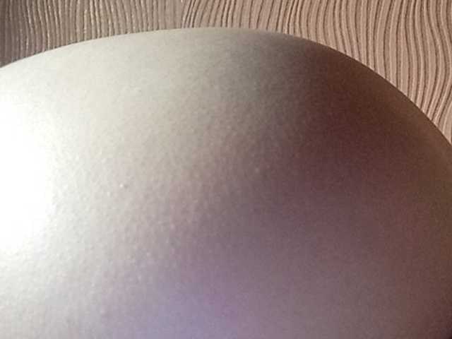 צילומי מסך משודרים Darinaray777