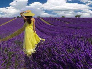 צ'אט וידאו ארוטי DashaFox2000