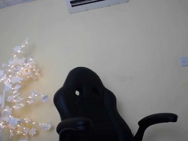 צילומי מסך משודרים DEVANY-REY