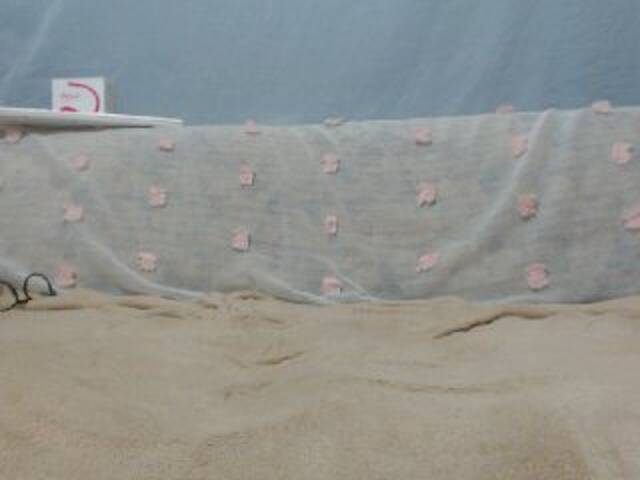 צילומי מסך משודרים DonnaWildJoyy