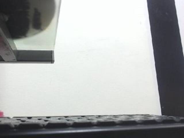 צילומי מסך משודרים Dulceik