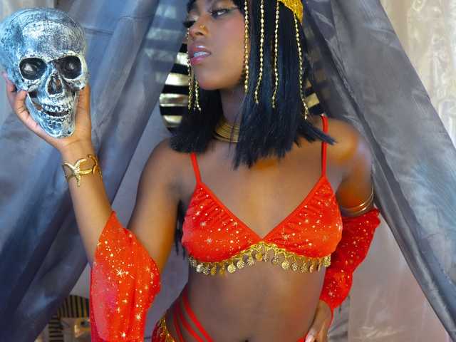 תמונה של הפרופיל ebonydreams01