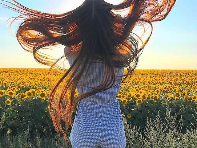 תמונה של הפרופיל EloizaHilton