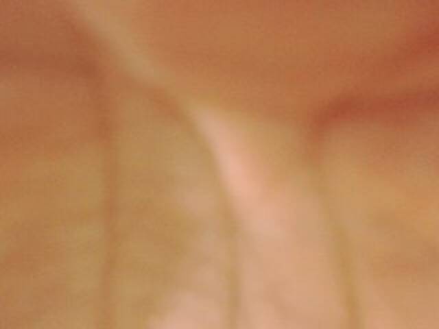 צילומי מסך משודרים evabluexx