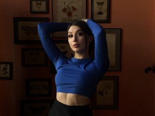 צ'אט וידאו ארוטי EvaSecret