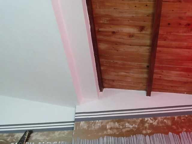 צילומי מסך משודרים flexylive