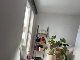 צ'אט וידאו ארוטי Flora8845