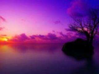 צ'אט וידאו ארוטי florabella