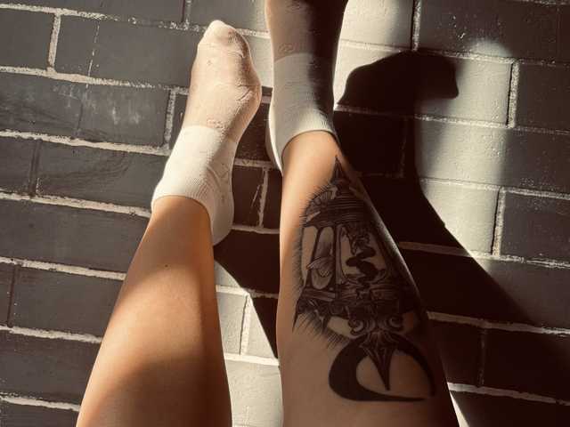 תמונה של הפרופיל Fox-Paws