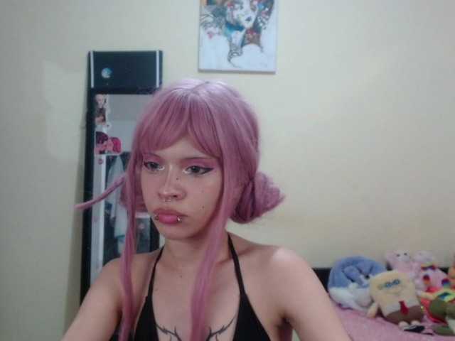 תמונה של הפרופיל hachi-kitty