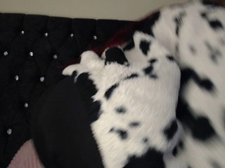 צ'אט וידאו ארוטי Hornyrata