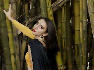 צ'אט וידאו ארוטי Kamalkaphool