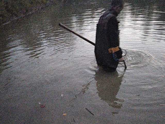 צילומי מסך משודרים lanalanina