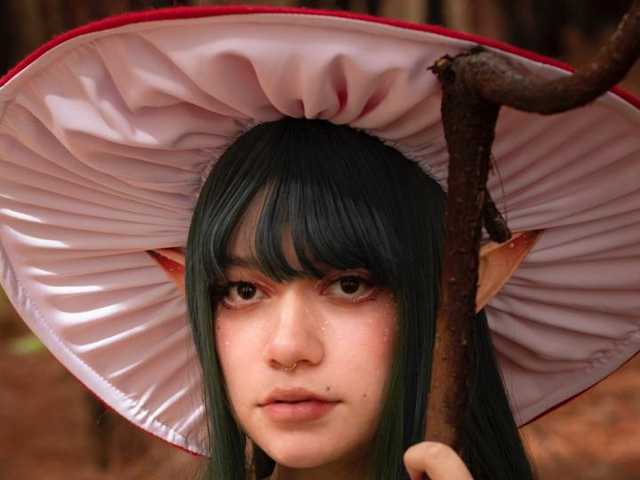 תמונה של הפרופיל LeeZoldyck