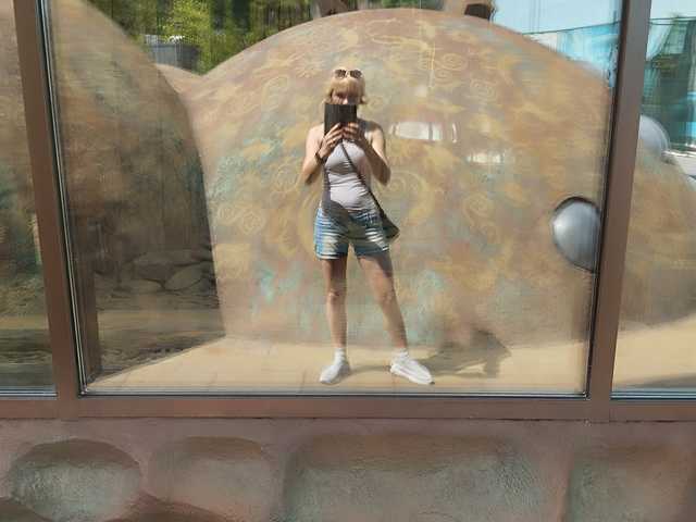 תמונה של הפרופיל LEHAam1800
