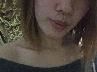 צ'אט וידאו ארוטי libog15