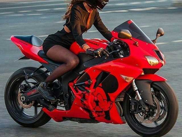תמונה של הפרופיל lovewildguy