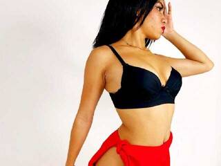 צ'אט וידאו ארוטי maitecharris