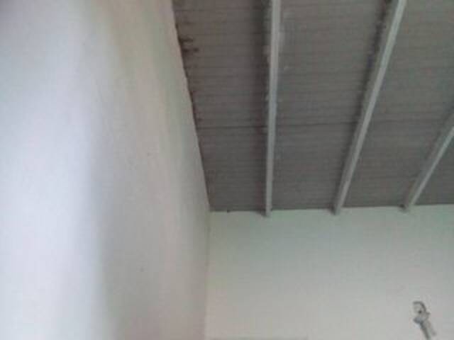 צילומי מסך משודרים misscute