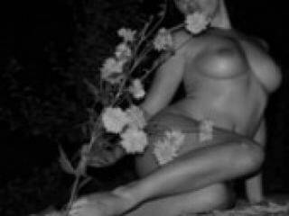 צ'אט וידאו ארוטי moonlight4u