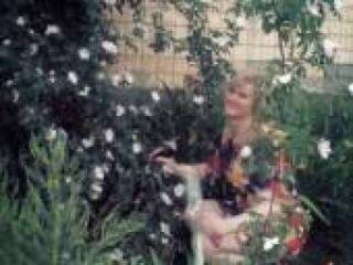 צ'אט וידאו ארוטי natali0179