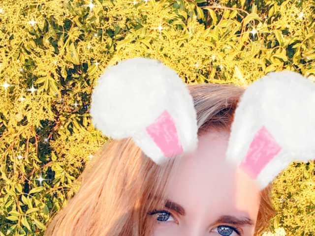 תמונה של הפרופיל Nilkibunnyxo