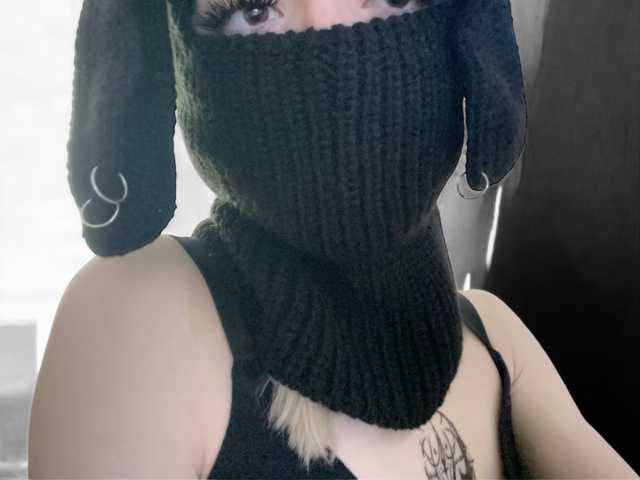 תמונה של הפרופיל cute_bunny