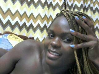 צ'אט וידאו ארוטי PerfectMatch