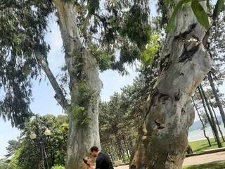 צ'אט וידאו ארוטי PUPI-DEL-REY