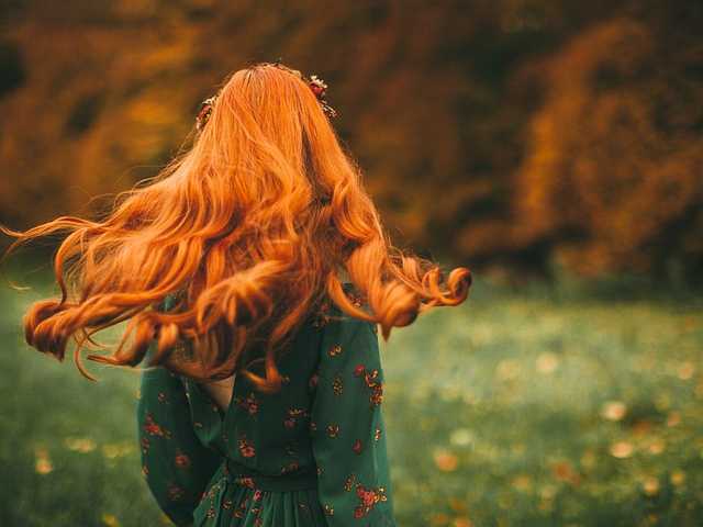 תמונה של הפרופיל PureMajoora