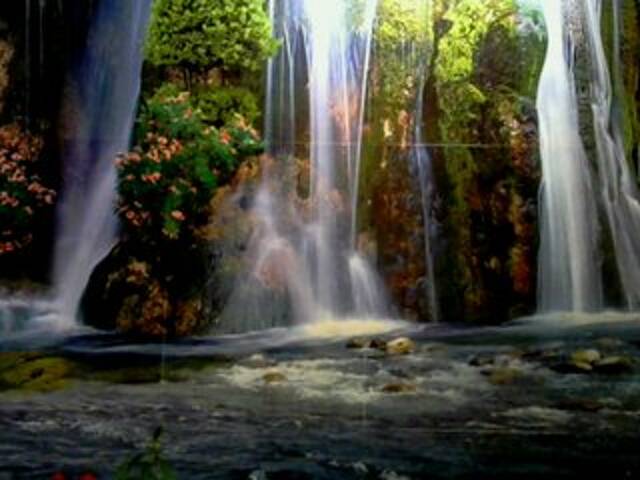 צילומי מסך משודרים regiha