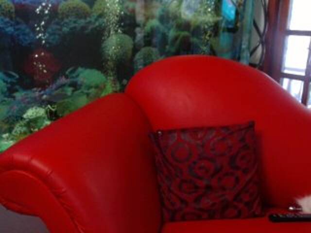 צילומי מסך משודרים RoxanneFox