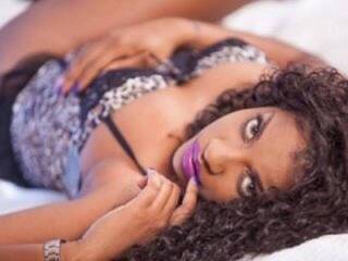 צ'אט וידאו ארוטי RoxiRox