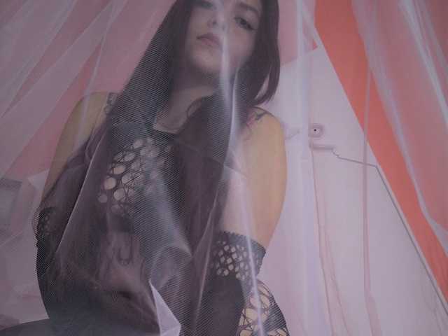תמונה של הפרופיל Sara-Morris